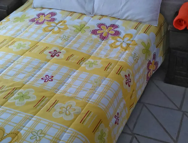 Eva's paradise hotel detail image 2