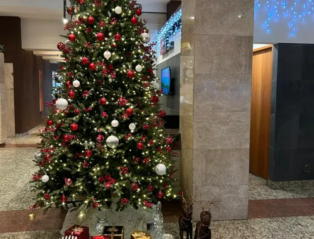 Hotel El Salvador hotel detail image 2