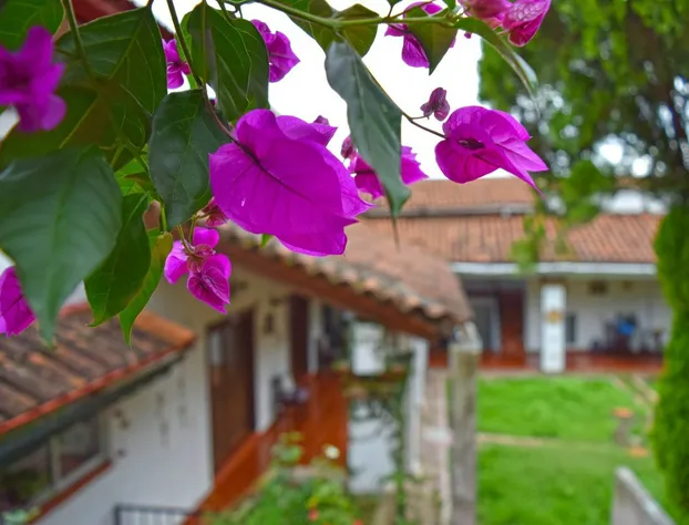 Hotel Posada Guivá hotel detail image 1