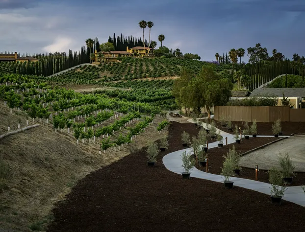 Europa Village Wineries and Resort hotel detail image 1