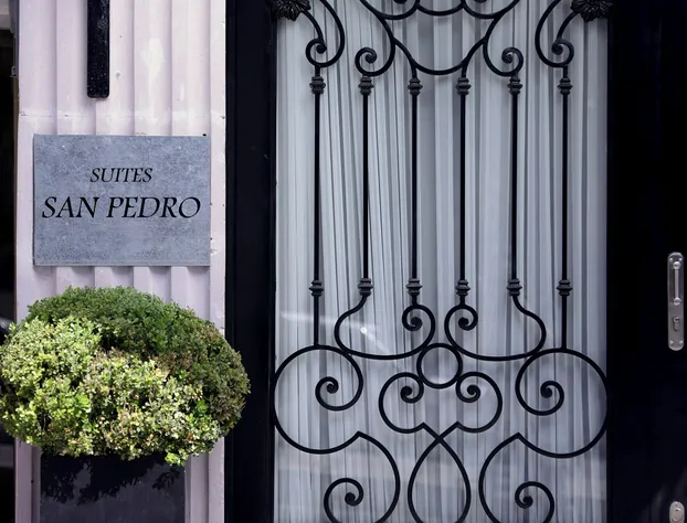 Suites San Pedro hotel detail image 2