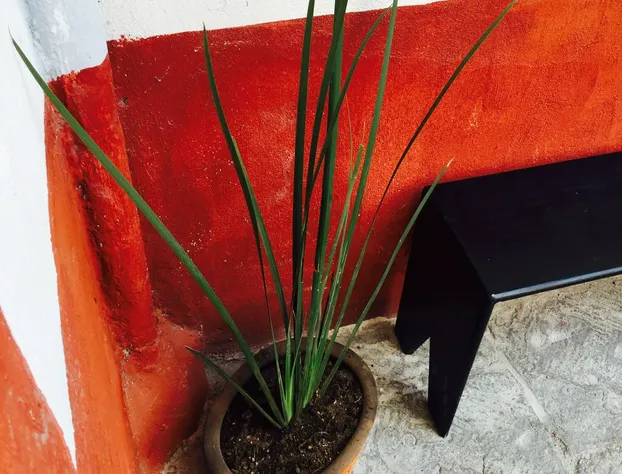 Downtown Pachuca hotel detail image 2