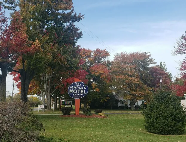 Maples Motel hotel detail image 2