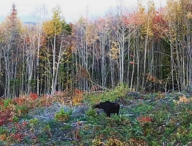 Kineo View Lodge hotel detail image 4