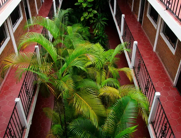 Hotel Azteca hotel detail image 4