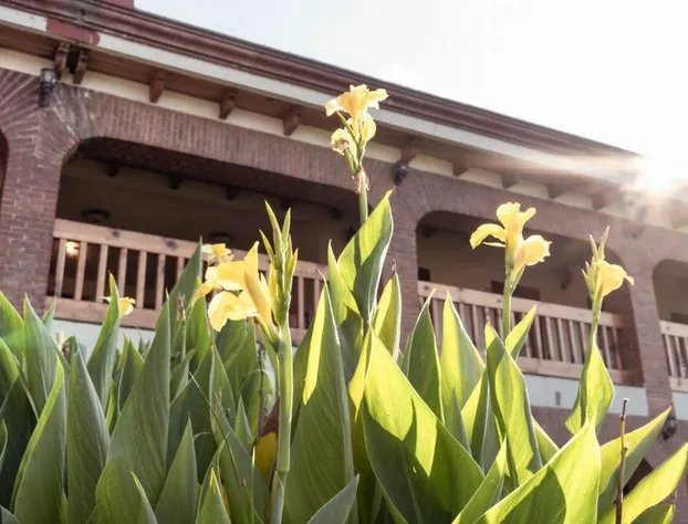 Hotel La Casona hotel detail image 2