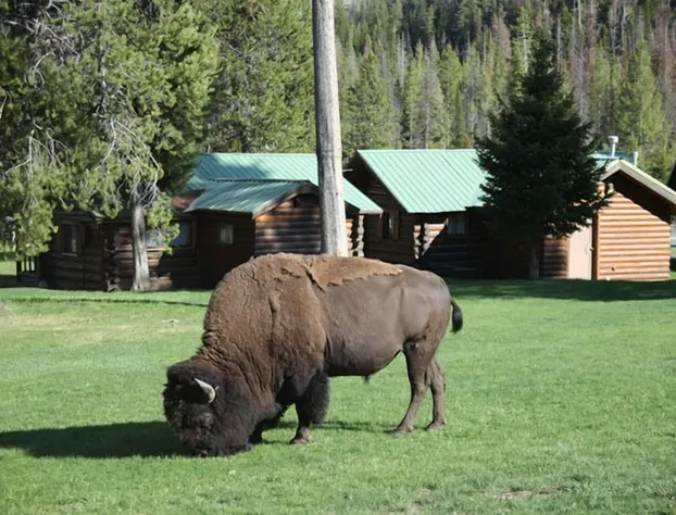 Pahaska Tepee Resort hotel detail image 4