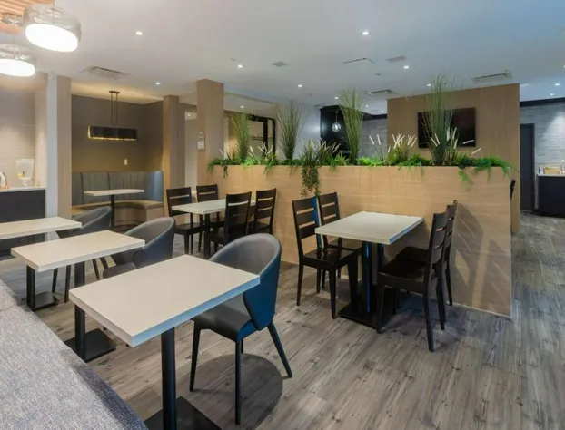 Microtel Inn & Suites by Wyndham Oyster Bay hotel detail image 3