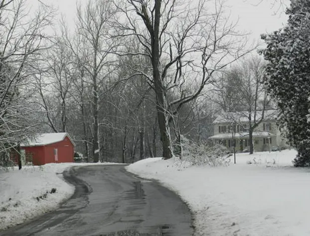 Red Cardinal Bed and Breakfast hotel detail image 4