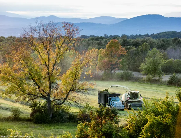 Whitford House hotel detail image 4