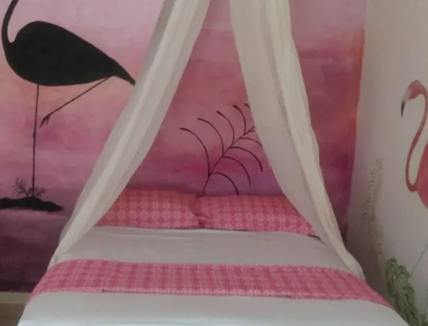 Xul Ha Coco hotel detail image 3