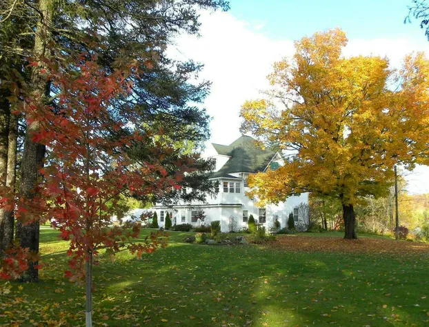 Shamrock Suites hotel detail image 2