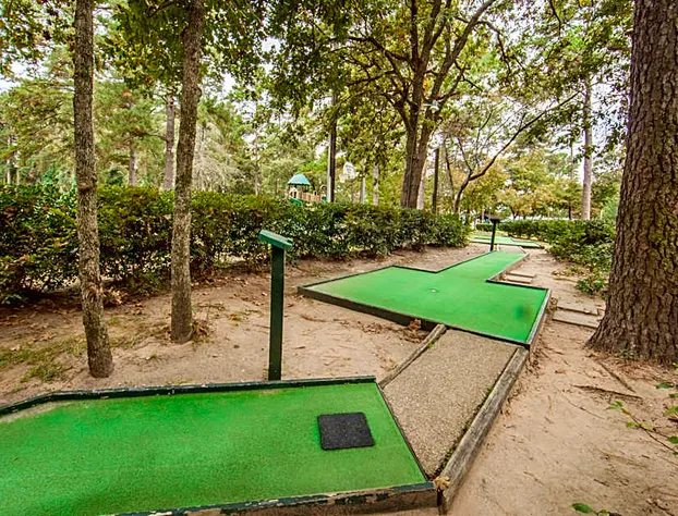 Holiday Inn Club Villages Resort Lake Palestine hotel detail image 3