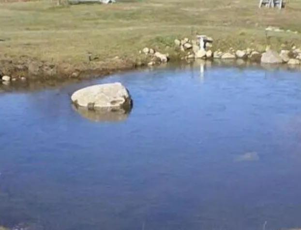 Alynns Butterfly Inn hotel detail image 1