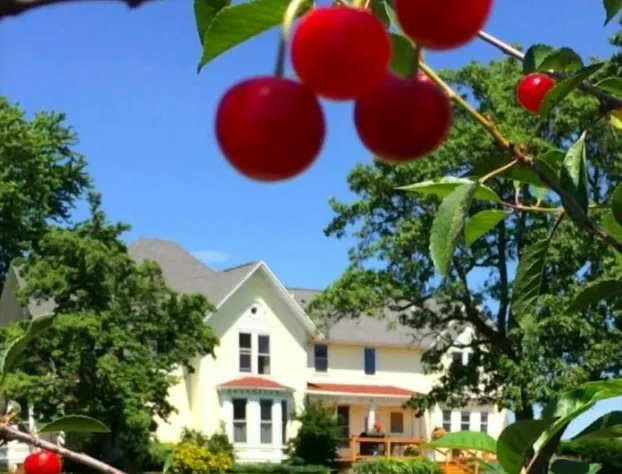 Country Hermitage B&B hotel detail image 3