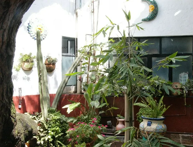 Casa Erendira hotel detail image 1