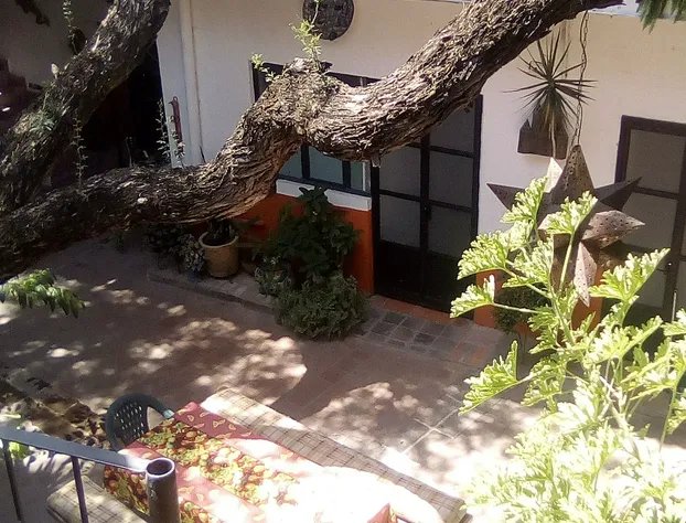 Casa Erendira hotel detail image 2