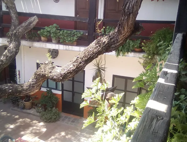 Casa Erendira hotel detail image 3