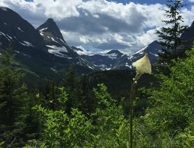 Sanders - Helena's Bed and B hotel detail image 1