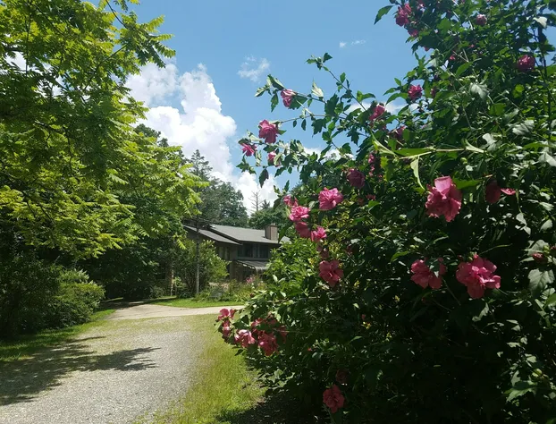 Inn on Mill Creek hotel detail image 2