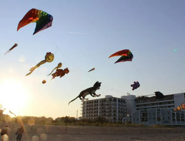 Admiral on Baltimore hotel detail image 2