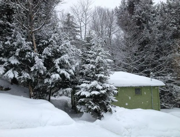 The Woods Lodge hotel detail image 4