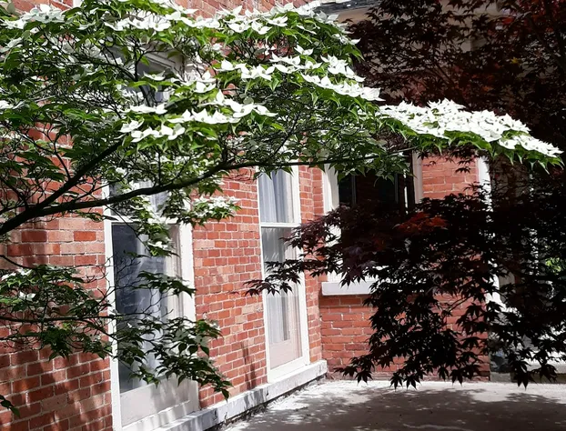 Rose Corner Inn hotel detail image 2