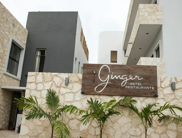 Ginger hotel detail image 1