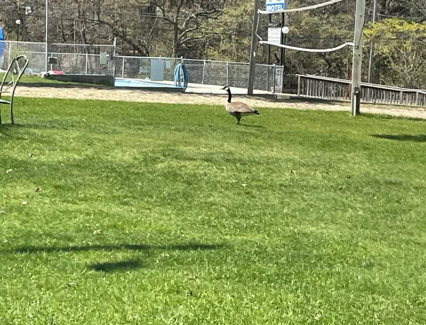 Lakeside Motel hotel detail image 1
