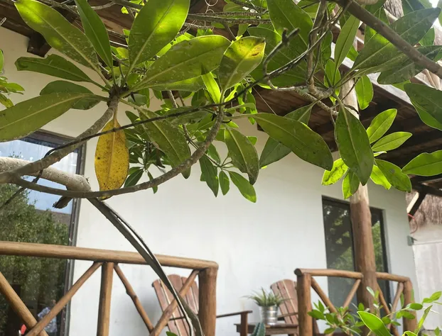 Selvatica Eco Hotel hotel detail image 4