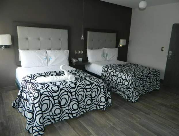 Hotel Flamingo hotel detail image 4