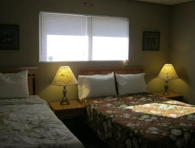 A1 B&B Surrey hotel detail image 2