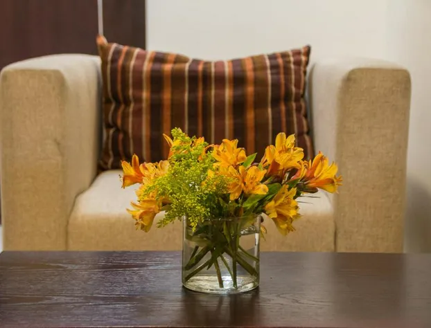 Hotel Mayis hotel detail image 4