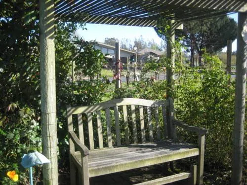 Pearlessence Vineyard Inn hotel detail image 3