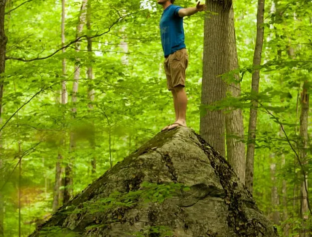 Beachwood Resort hotel detail image 4