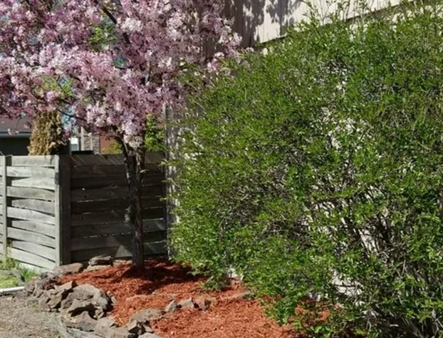 Lakeshor Motor Inn hotel detail image 3