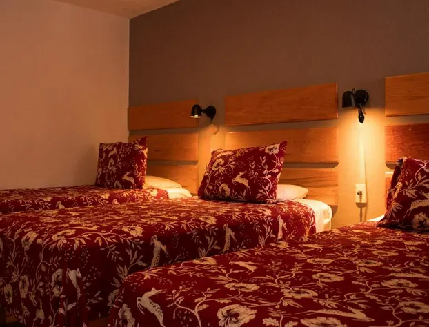 Hotel las bugambilias hotel detail image 1