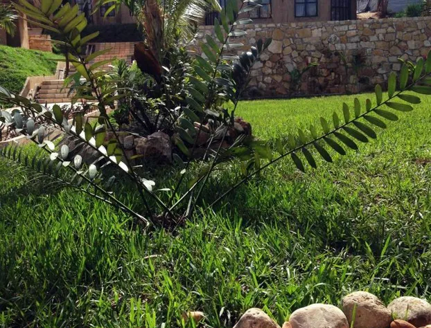 Axkan Arte Palenque hotel detail image 1