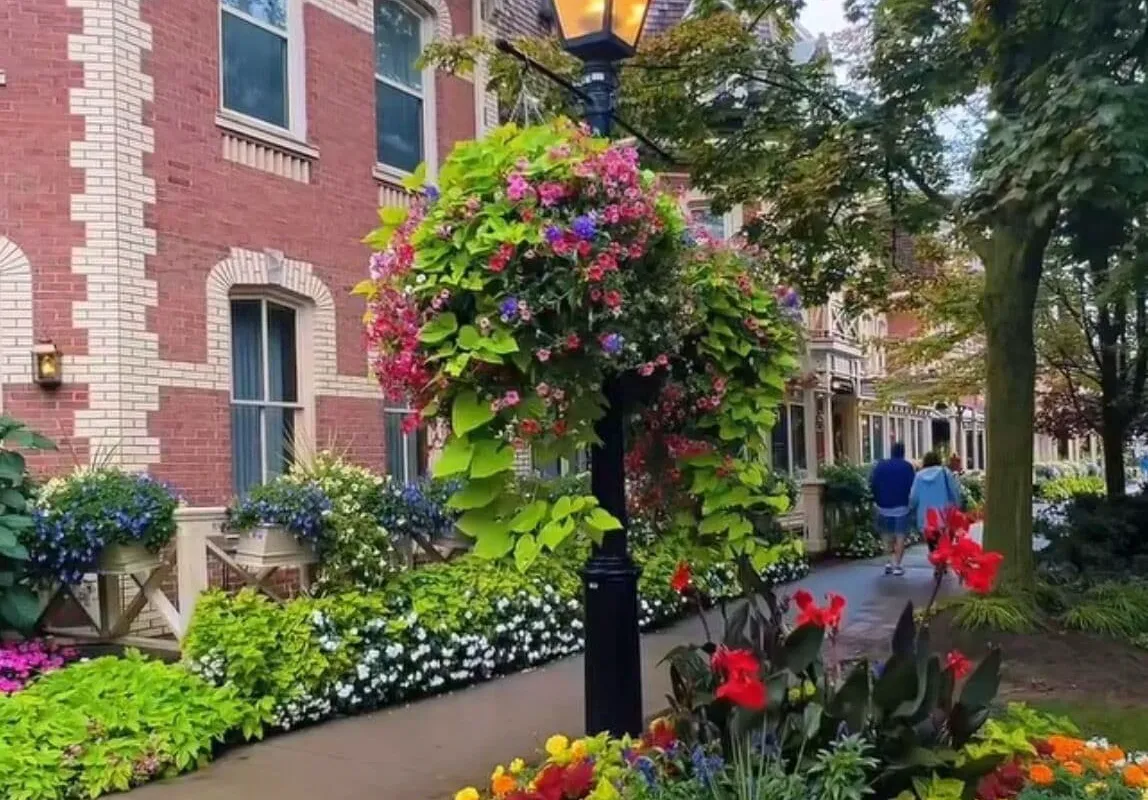 Cobblestone Bed and Breakfast hotel hero