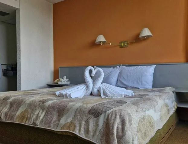 Parador del Río by Flamingo Hotels Group hotel detail image 3