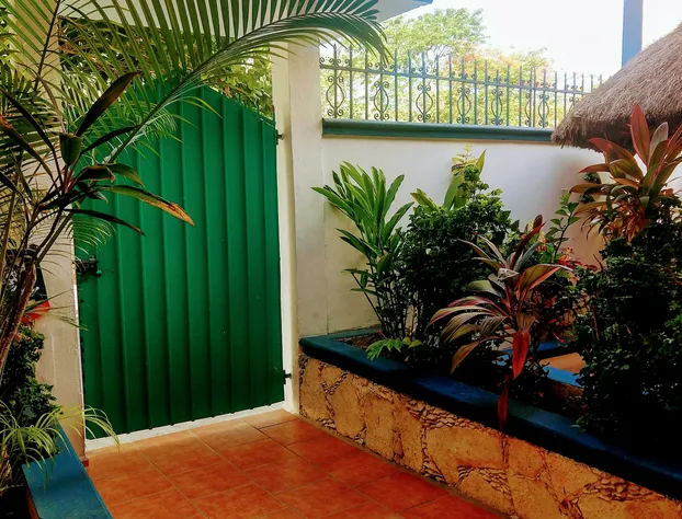 Alicia's Bed & Breakfast hotel detail image 1