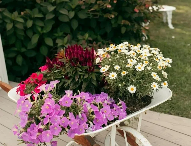 Hotel Manisses hotel detail image 4