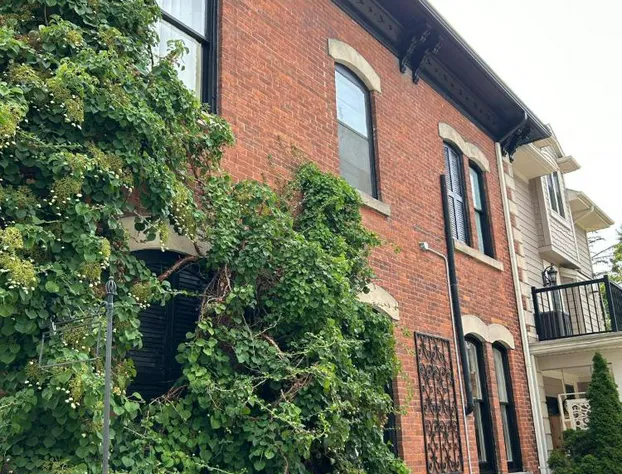 Norfolk Guest House hotel detail image 3