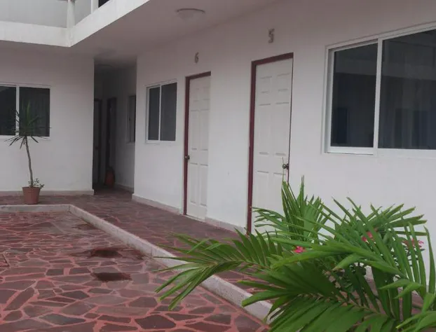 Hotel Albatros Palace hotel detail image 4