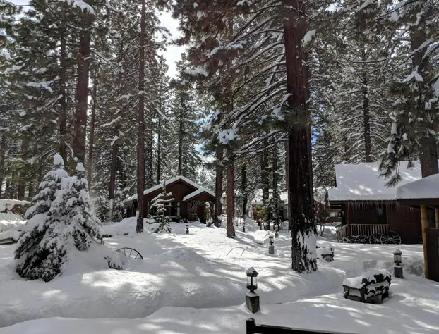 Black Bear Lodge hotel detail image 1