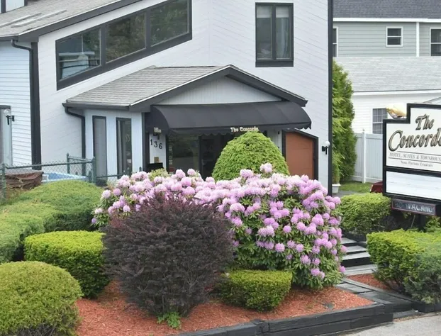 Concorde Motel hotel detail image 4