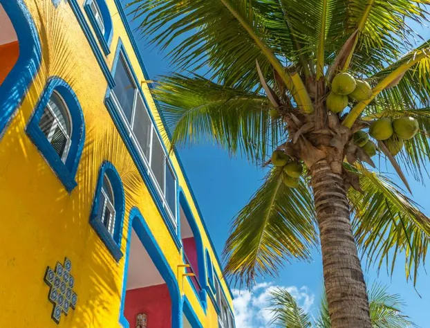 Del Sol Beachfront Hotel and Condos hotel detail image 4