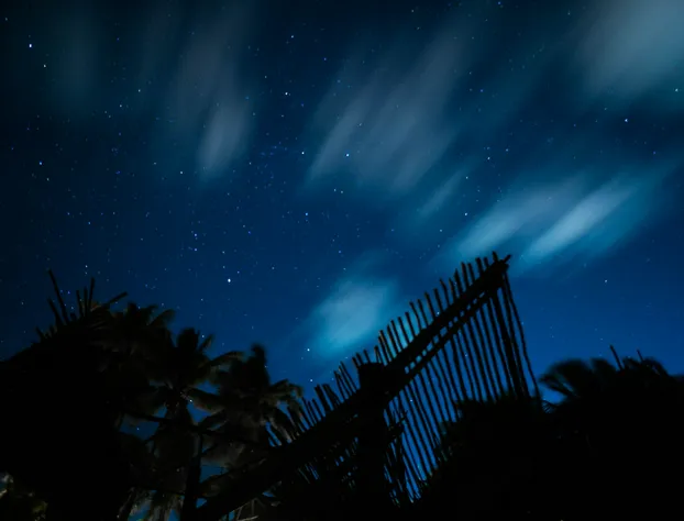 Bt Live Tulum hotel detail image 3