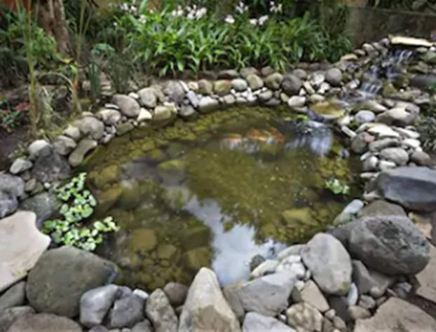 Guayaba Inn Boutique Hotel hotel detail image 3