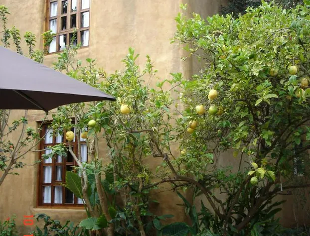 Guayaba Inn Boutique Hotel hotel detail image 4